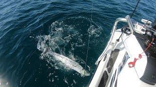 13 MILES OFFSHORE! on a Yamaha WaveRunner Fishing TUNA Florida Keys I Catch N Cook