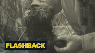 The Exxon Valdez Oil Spill | Flashback | NBC News