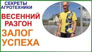 Весенние укрытия для винограда в Подмосковье залог успеха. Практика применения и нюансы.