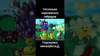 Как сделать лучшие королевские гибридов.#рекомендации #pvz #растенияпротивзомби