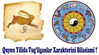 Quyon YilidaTug‘ilganlar Xarakterini bilib Olamiz - Quyon muchalida tug’ilganlar haqida !!!