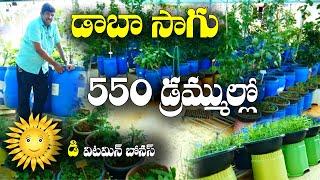 200 లీటర్ల డ్రమ్ముల్లో తీరొక్క పంటలు || Terrace Garden in Big Drums || V Ram Mohan Rao