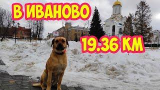 Пешком по г. Иваново 19.36 км