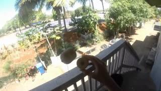 Josh C. | Terra Kendama 3.5 Year Contest (Pill)