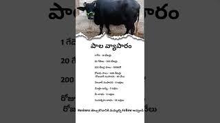 Milk Business Idea ||Business Ideas|| Business IdeasTelugu#business#businessgrowth#startupideas