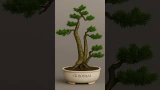 Make bonsai tree , step by step guide