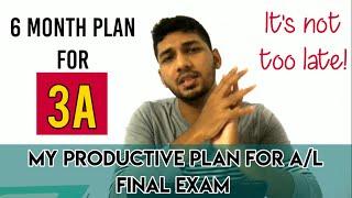 My productive six months before A/L Final Exam #by-Roshen Akthar