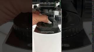 Clean and Disinfect a Microscope