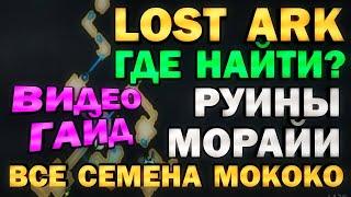 LOST ARK - ГДЕ НАЙТИ? ВСЕ СЕМЕНА МОКОКО - ВИДЕО-ГАЙД - РУИНЫ МОРАЙИ (Юдия)