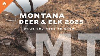 Montana Deer & Elk: MUST-KNOW Tips Before You Apply