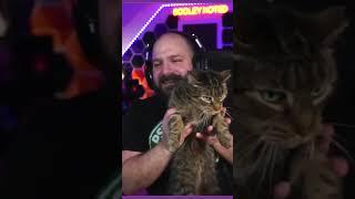 SCOOTER CAUSING TROUBLE! | #cats #ytshorts #tabby