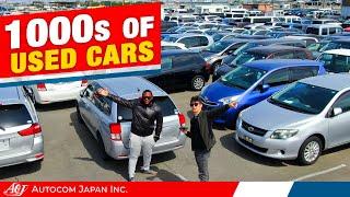 Japanese Used Car Yards | How BIG is Autocom Japan?