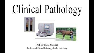 Vet Hematology Lecture 1 1 introduction to clinical pathology: Arabic tutorial