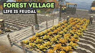 Forest Village  РЕФОРМЫ СЕЛЬСКОГО ХОЗЯЙСТВА! Life is Feudal