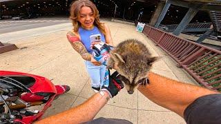 Riding With My RACCOON In DOWNTOWN Chicago!