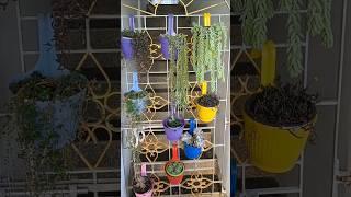 Succulent decoration ideas # smart  vertical garden