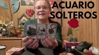 ROMANCE QUE REGRESA A TU VIDA ️ AMOR️ ACUARIO SOLTEROS ️ TAROT DICIEMBRE 2024