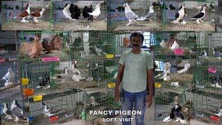 Fancy Pigeon Loft Visit at 58 Gate , Howrah ( Sanjay Mondal ) 9674664076