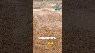 High Chromium Alloy Submersible Sand Pumping Pump Submersible Slurry Pump Manufacturers