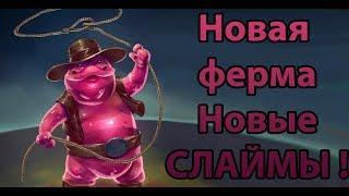 Новая ферма Новые слаймы ! ( Slime rancher )