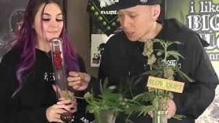 Try marijuana when it's fresh.