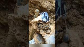 Amethyst Crystal being found in Carolina Red Clay pocket mud by @TheCrystalCollector #crystals
