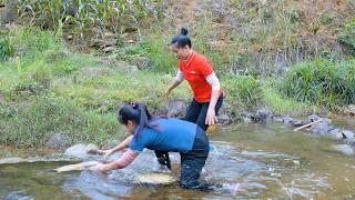 3 days heavy rain - How to harvest giant fish Goes to sell at the market | Tieu Tam Daily Life