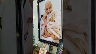 Blessings Always | Blessed Darshan | Jai Guruji #love #shortvideo #gurbani