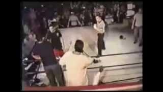 Referee KO MMA fighter !