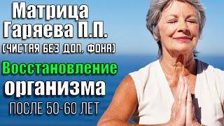 Настоящая матрица Гаряева П. П. для восстановления организма после 50-60 лет (без доп. фона, чистая)