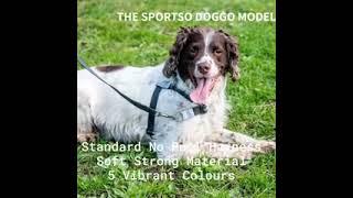 Walk Your Dog with Love No Pull Dog Harness