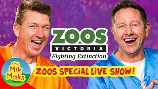 The Mik Maks and Zoos Victoria Live Stream | Videos for Kids | Zoo Animals