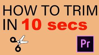 Premiere Pro how to trim / cut a video clip