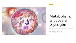 Metabolism: Glucose & Glycogen (Catabolism & Anabolism)