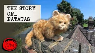 The Story Of… Patatas | Taskmaster