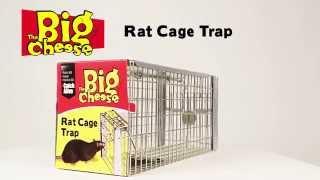 STV075 The Big Cheese Rat Cage Trap