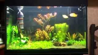 Аквариум AquaPlus PRO 170