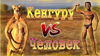 КЕНГУРУ vs ЧЕЛОВЕК/Kangaroo vs human/ потасовка туриста с кенгуру попала на 