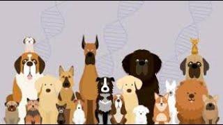 Mr. Cardoza Video 2 Friendship