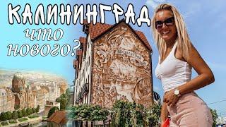 Новый Калининград. Где погулять и что посмотреть в Калининграде