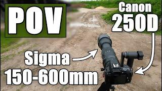 Taking a GREAT Photo... Finally! | UK POV Wildlife Photography with Canon 250D + Sigma 150-600mm C