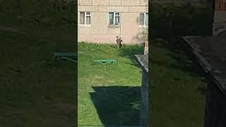 17 мая 2025 г.