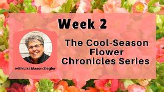 The Cool-Season Flower Chronicles Series Week 2: When Do You Plant?