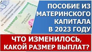 Ежемесячная выплата из материнского капитала в 2023 году. Размер пособия, обзор изменений