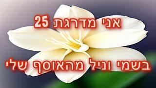 דירוג 25 בשמי וניל מהאוסף שלי 