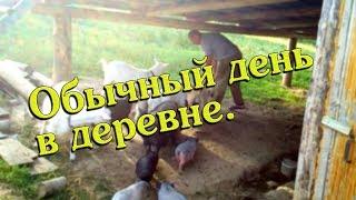 ОБЫЧНЫЙ ДЕНЬ В ДЕРЕВНЕ//деревенские будни