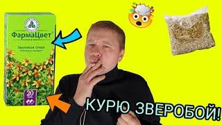 ЗАБИЛ ТРАВУ В СИГУ/ КУРЮ ЗВЕРОБОЙ!