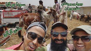 Bhains Colony Mandi Today Latest Rates Update 4 Jun  2025 Karachi Cattle Latest Rates Update 2025