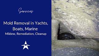 Mold Removal in Yachts, Boats, Marine | Mildew, Remediation, Cleanup