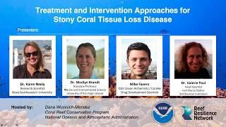 Treatment and Intervention Approaches for Stony Coral Tissue Loss Disease